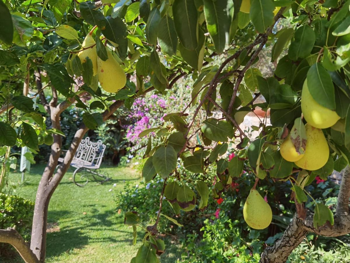 Il Giardino Di Tatiana Rooms & Breakfast La Maddalena Kültér fotó