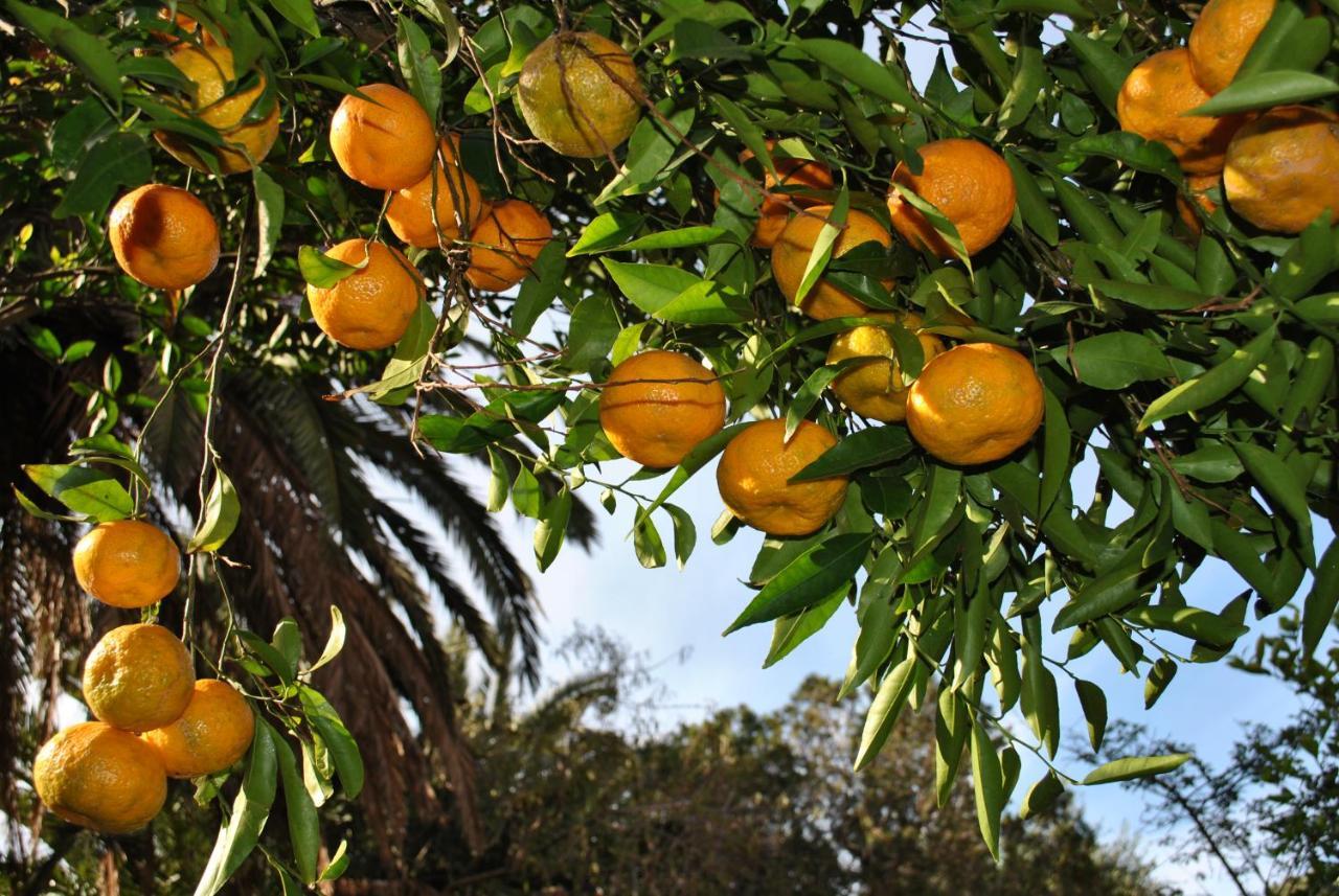 Il Giardino Di Tatiana Rooms & Breakfast La Maddalena Kültér fotó